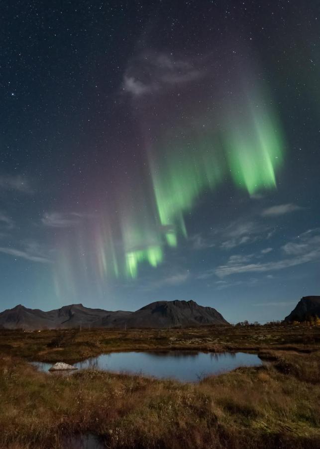 Lyngvaer Luggombu Villa Kleppstad Eksteriør bilde